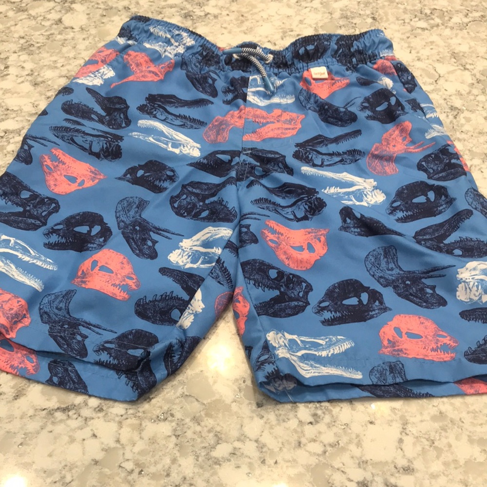 Dinosaur swim trunks